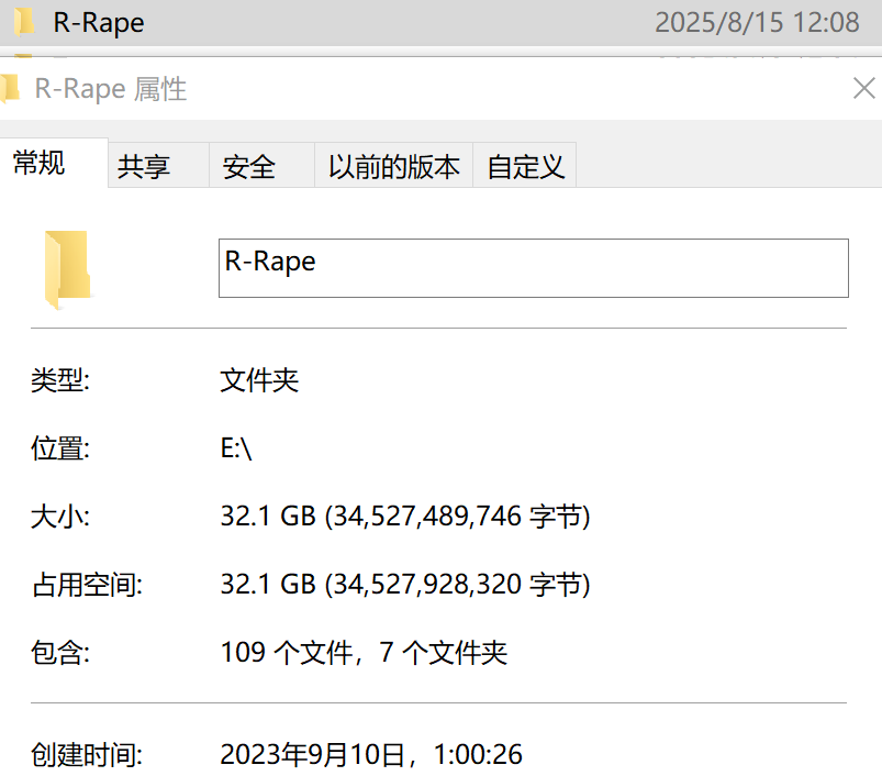 暴力视频-40GB 5
