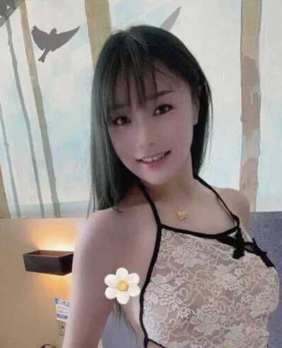 贝迪 14