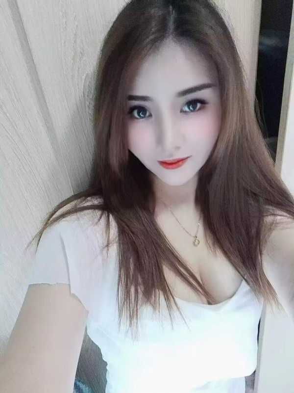贝迪 3