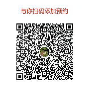 番禺D杯颜值御姐抓龙筋，技术 4