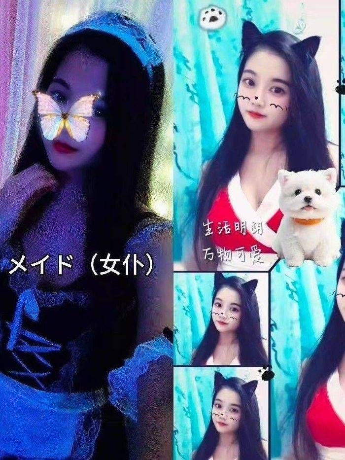 梅花园95sm抓龙筋-闪闪 3