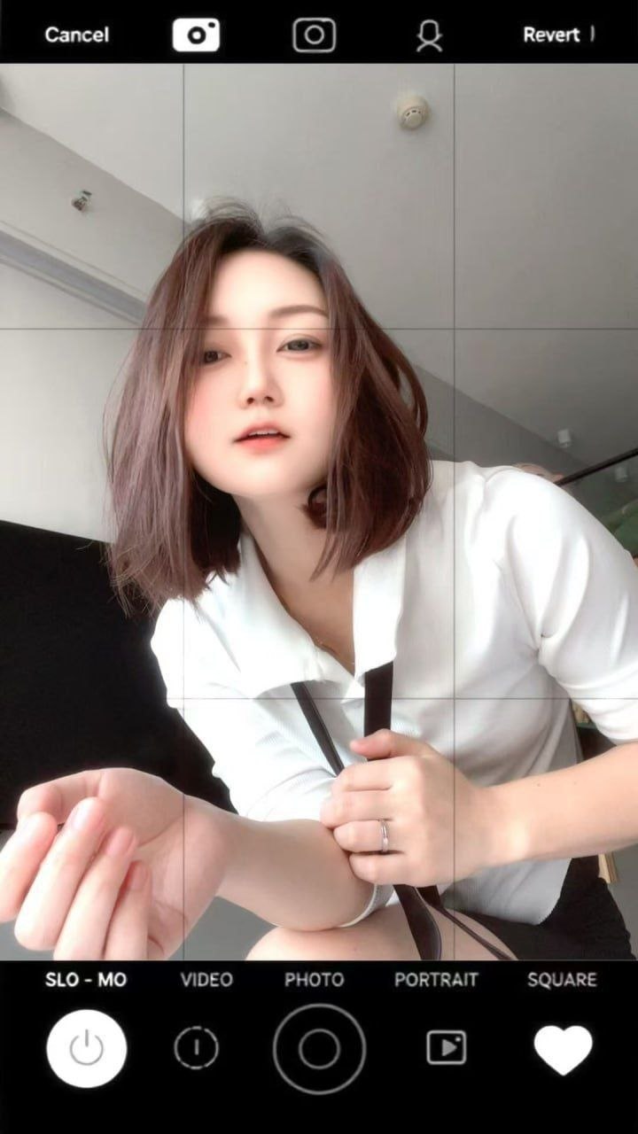 白云金沙洲姐妹花抓龙筋 2