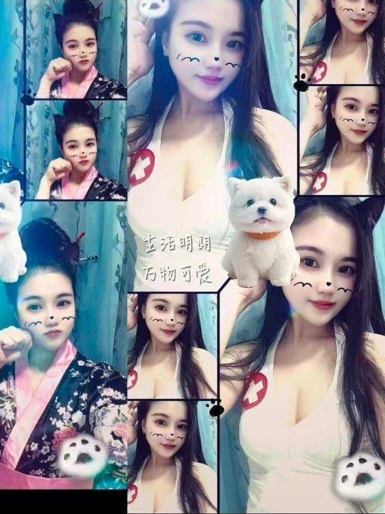 梅花园95sm抓龙筋-闪闪